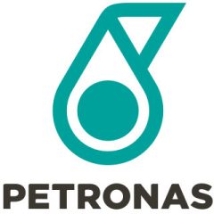 PETRONAS 76016 — Ulei servodirecție