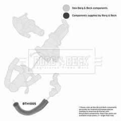 BORG & BECK BTH1005 — Furtun intercooler