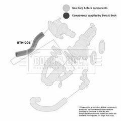BORG & BECK BTH1006 — Furtun intercooler