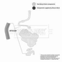 BORG & BECK BTH1009 — Furtun intercooler