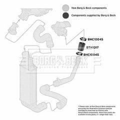 BORG & BECK BTH1017 — Furtun intercooler