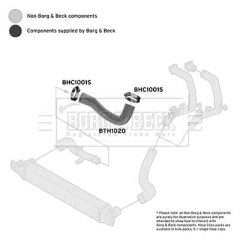 BORG & BECK BTH1020 — Furtun intercooler