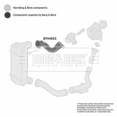 BORG & BECK BTH1023 — Furtun intercooler