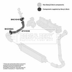 BORG & BECK BTH1038 — Furtun intercooler