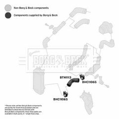 BORG & BECK BTH1113 — Furtun intercooler