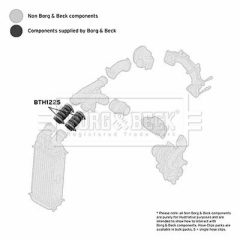 BORG & BECK BTH1225 — Furtun intercooler