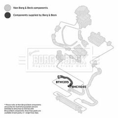BORG & BECK BTH1395 — Furtun intercooler