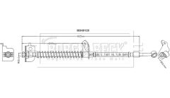 BORG & BECK BBH9120 — Furtun de frână