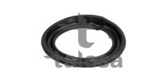 TALOSA 63-22683 — Taler arc