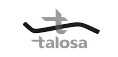TALOSA 67-19405 — Шланг печки