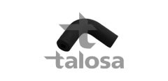 TALOSA 70-19836 — Шланг системы подачи воздуха