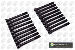 BGA BK0135 — Комплект болтов ГБЦ