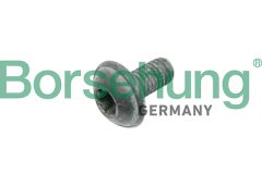 Borsehung B10635 — Șurub fixare disc de frână