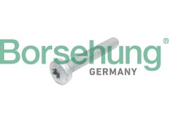Borsehung B10645 — Болт ГБЦ