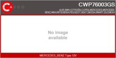 CASCO CWP76003GS — Насос омывателя стекла