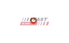 FAST FT02333 — Șaibă protecție termică injector