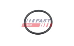 FAST FT10368 — Clemă arc conductă lichid răcire