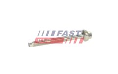 FAST FT12965 — Șurub fixare injector