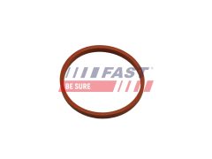 FAST FT48932 — Inel etanșare conductă aer supraalimentare