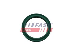 FAST FT48933 — Inel etanșare conductă aer supraalimentare