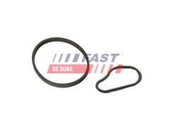 FAST FT48943 — Garnitură pompă vacuum