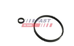 FAST FT48952 — Garnitură radiator ulei