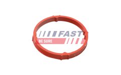 FAST FT48958 — Уплотнительное кольцо