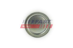 FAST FT49308 — Пробка антифриза в блоке