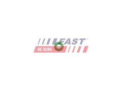 FAST FT49650 — Прокладка корпуса форсунки