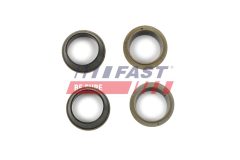 FAST FT49843 — Set garnituri injector