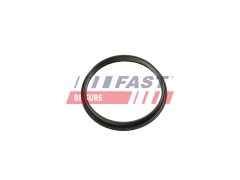 FAST FT49853 — Garnitură pompă vacuum