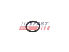 FAST FT49856 — Garnitură conductă lichid răcire