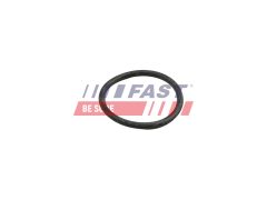 FAST FT49918 — Garnitură conductă lichid răcire