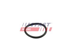 FAST FT49919 — Inel etanșare conductă lichid răcire