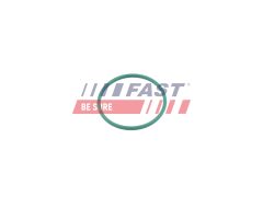 FAST FT49921 — Inel etanșare conductă aer supraalimentare