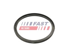 FAST FT49922 — Inel etanșare conductă aer supraalimentare