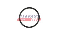 FAST FT49931 — Прокладка трубки охлаждающей жидкости
