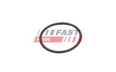 FAST FT49933 — Inel etanșare conductă aer supraalimentare