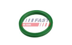 FAST FT49936 — Inel etanșare conductă aer supraalimentare