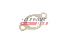 FAST FT50618 — Garnitură pentru supapa EGR