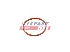 FAST FT50701 — Garnitură pompă vacuum