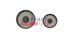 FAST FT50818 — Dop antigel bloc motor