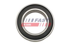 FAST FT66380 — Rulment planetară