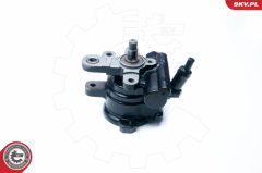 ESEN SKV 10SKV209 — Pompă servodirecție