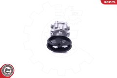 ESEN SKV 10SKV251 — Насос ГУР