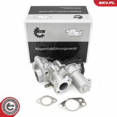 ESEN SKV 14SKV253 — Клапан EGR