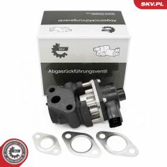 ESEN SKV 14SKV260 — Клапан EGR