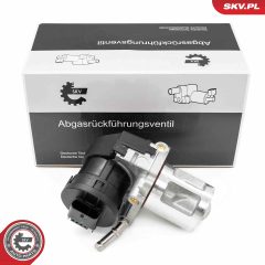 ESEN SKV 14SKV261 — Supapă EGR