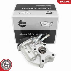 ESEN SKV 14SKV265 — Supapă EGR