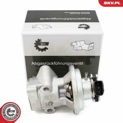 ESEN SKV 14SKV269 — Клапан EGR